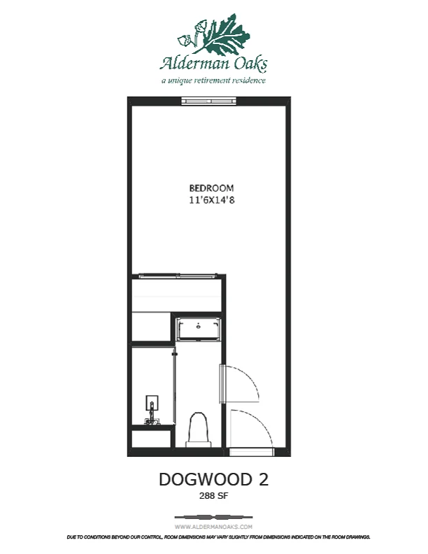 Dogwood 2