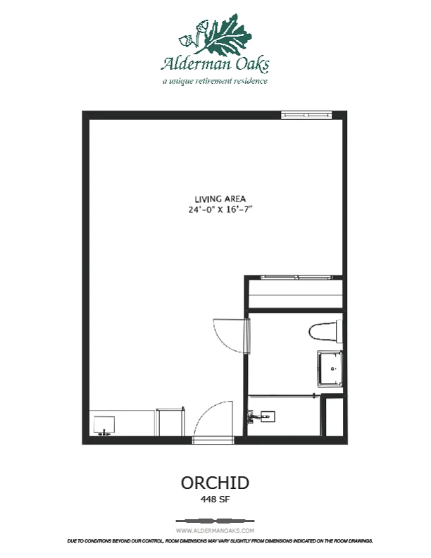 Orchid