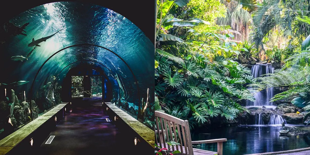 alderman-landingstrip2