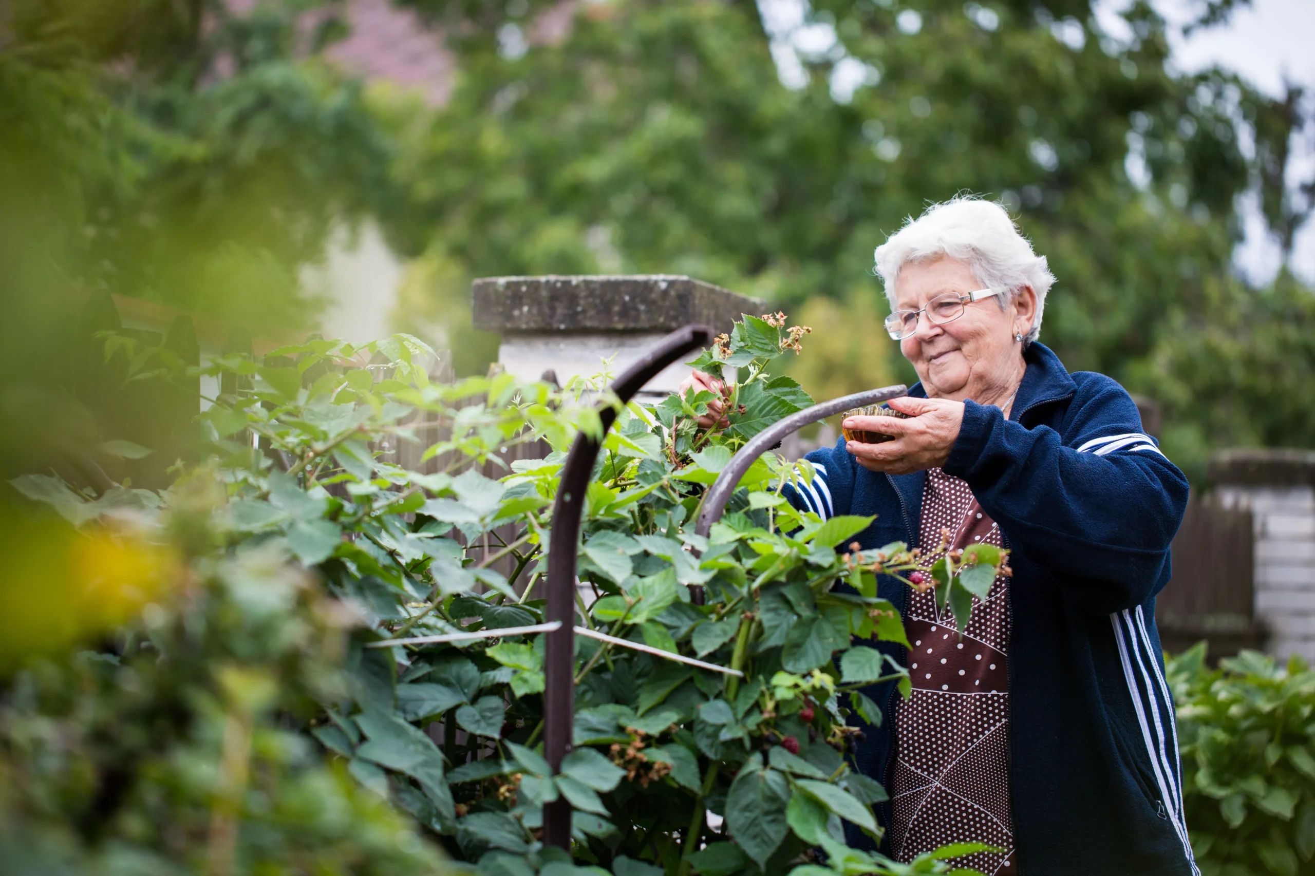 Supporting Independent & Health Senior Living